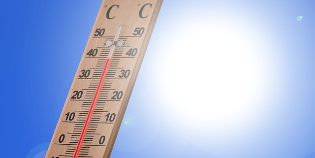 “Immersive Simulation: Surviving Extreme Weather Conditions”