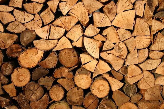“The Impact of Terrorism on Deforestation: A Global Perspective”